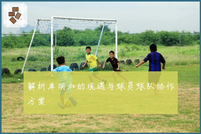 解析库明加的境遇与球员球队协作方案