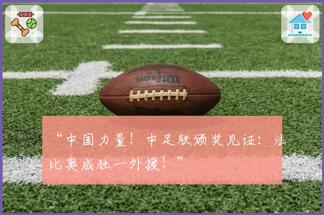 “中国力量！中足联颁奖见证：法比奥成独一外援！”