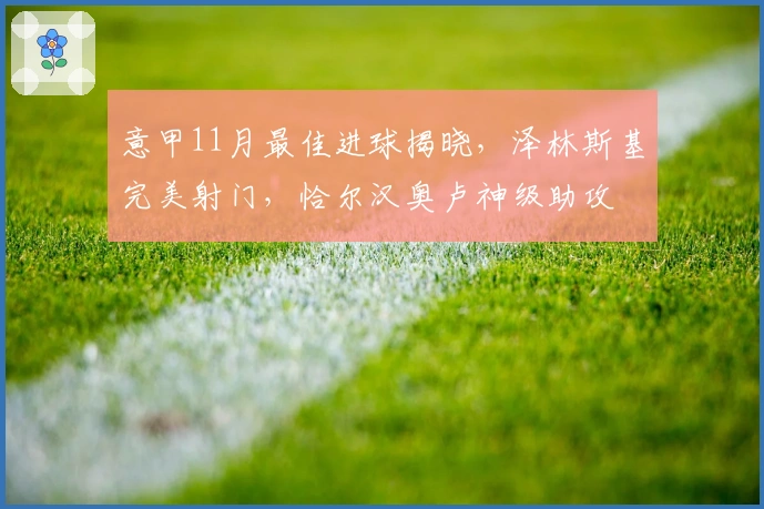 意甲11月最佳进球揭晓，泽林斯基完美射门，恰尔汉奥卢神级助攻